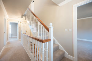 Photo 24- click for photo gallery